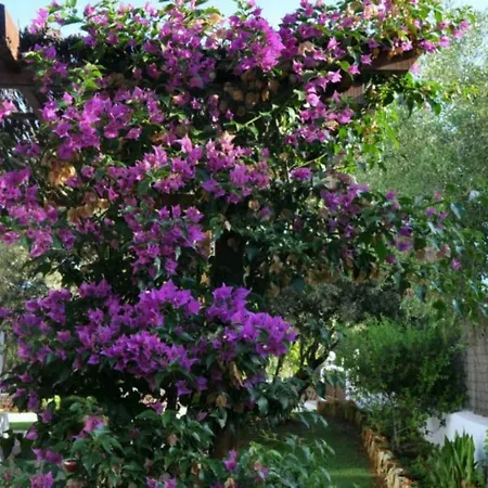 Villa Biniprispina - Sleeps 6