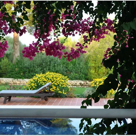 Biniprispina - Sleeps 6 Вилла Binissafuller